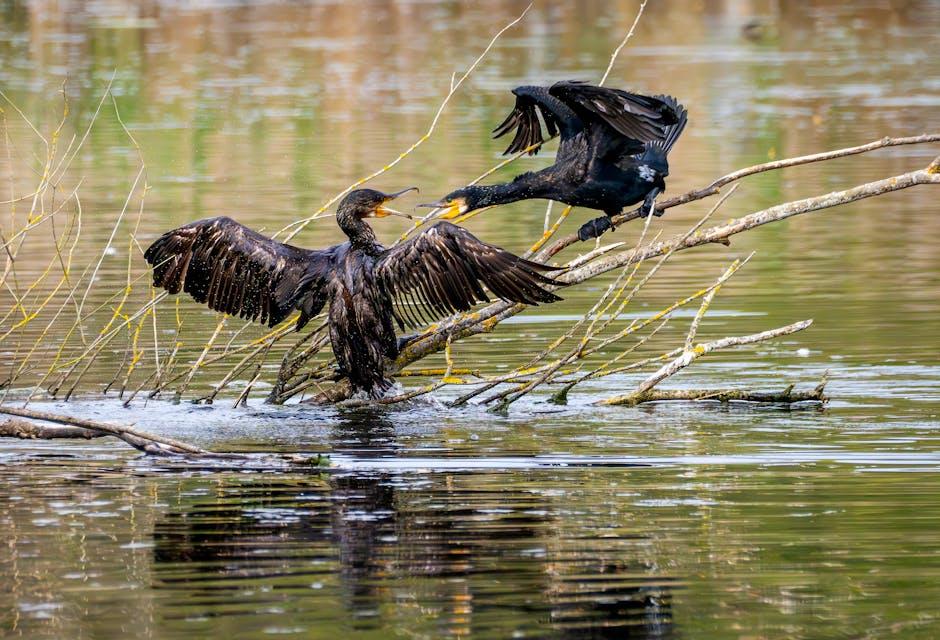 Balancing Brevity and Detail for Audience Engagement